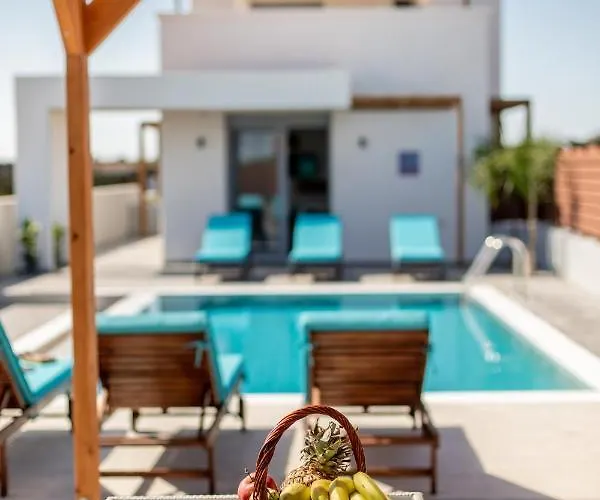 Kallipateira فيلة *