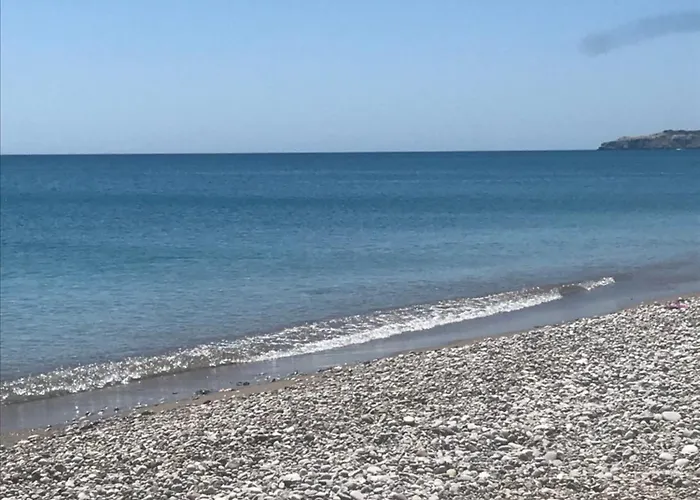 فيلة Kallipateira لاخنيا